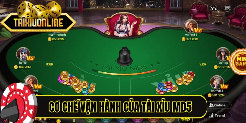 Hiểu nhanh cơ chế vận hành của Tài Xỉu MD5