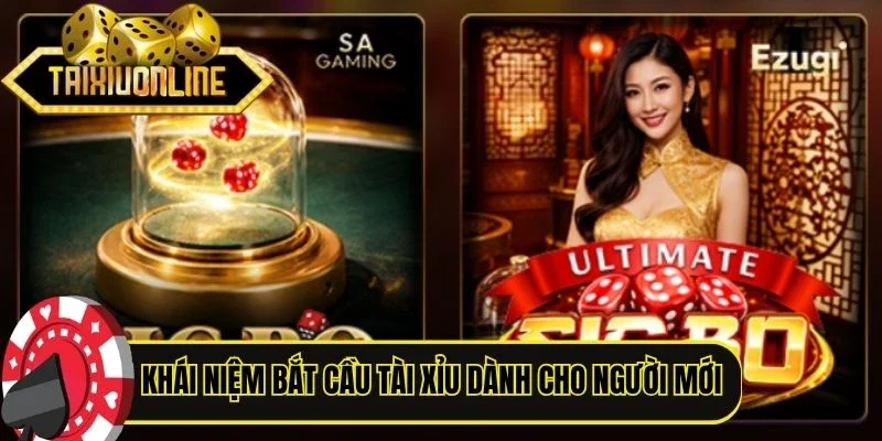 Khái niệm bắt cầu Tài Xỉu dành cho người mới